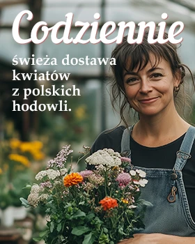 Codziennie świeża dostawa kwiatów